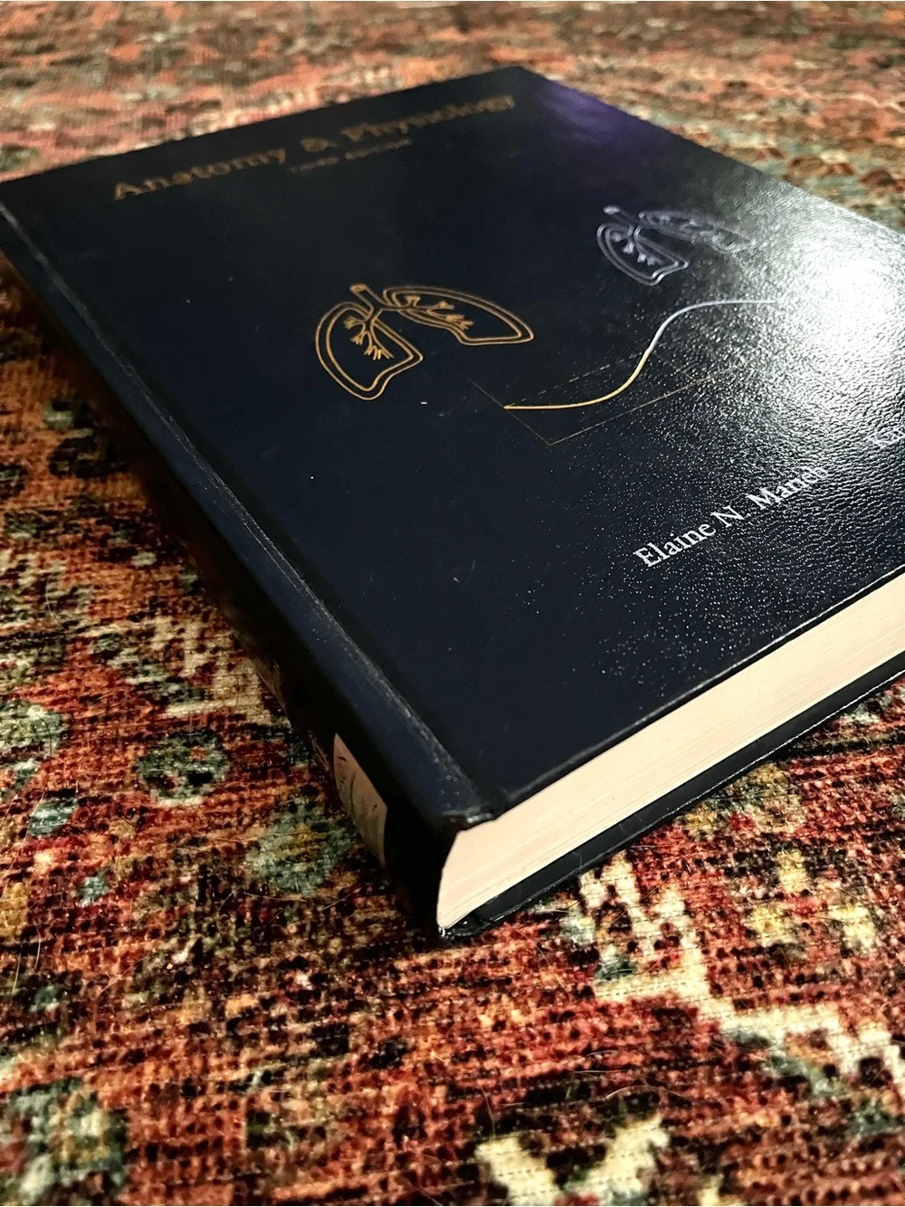 Pearson hardcover anatomy